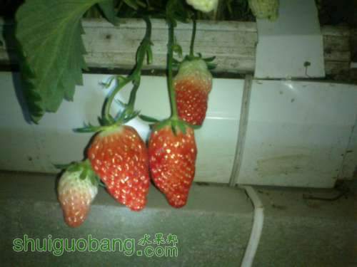 201204031505.jpg