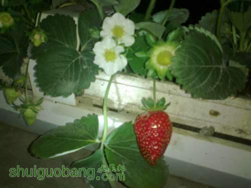 201204031509.jpg