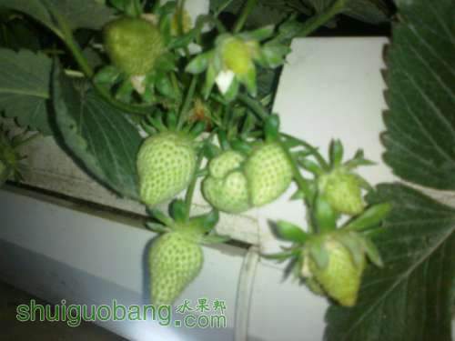 201204031510.jpg