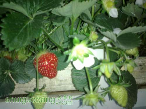 201204031513.jpg
