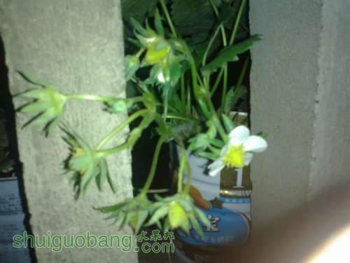 201204031517.jpg