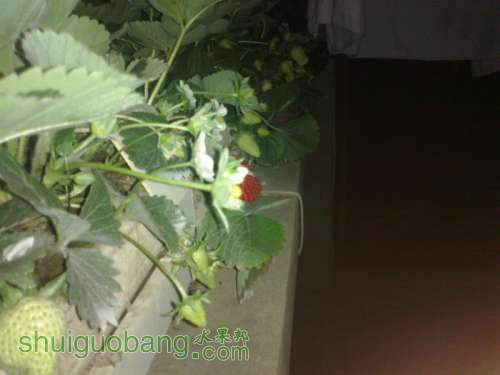 201204031518.jpg