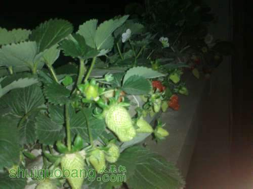 201204031519.jpg