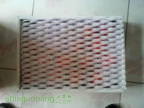 IMG0008.jpg