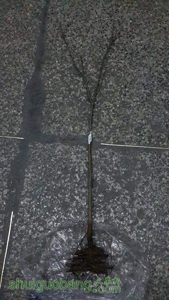 20131226_175744.jpg