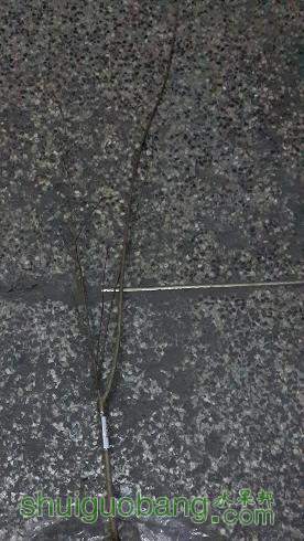 20131226_175810_11850093.jpg