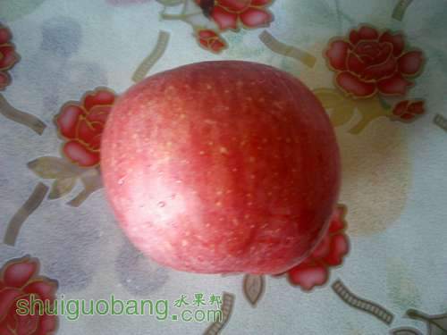 IMG0013.jpg