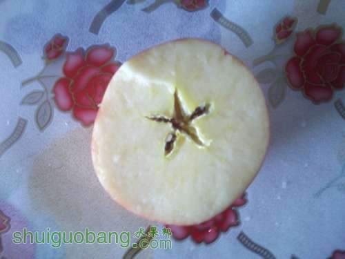 IMG0014.jpg
