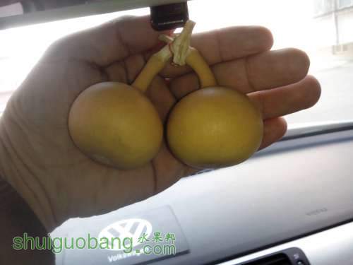 IMG20131228131319.jpg