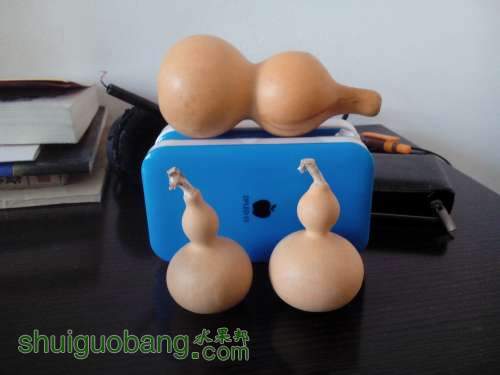 IMG20131228123006.jpg