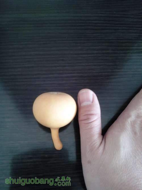 IMG20131228121429.jpg