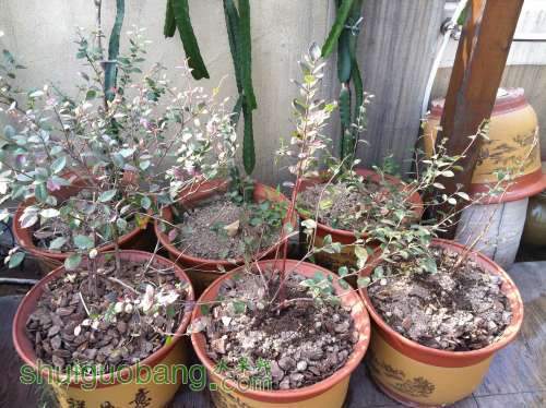 2013-12-28 102018.jpg