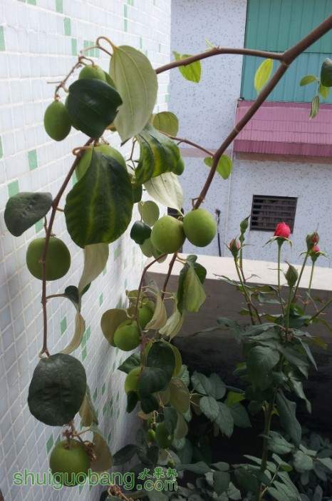 QQͼƬ20131230085806.jpg