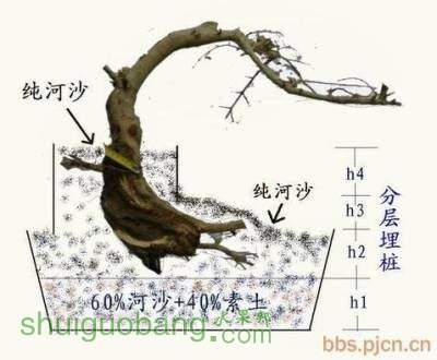 QQͼƬ20131227160528.jpg