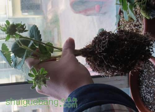 QQͼƬ20131228201641.jpg