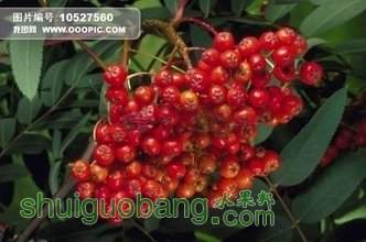 t01de0cbcfe9723b00f.jpg