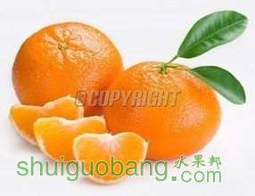 t01e5cadae39e77c1b4.jpg