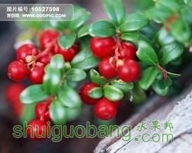 t010a1bdbbe735871cc.jpg