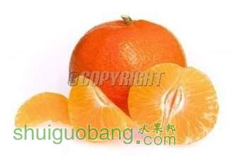 t013bdbadacdba5046e.jpg