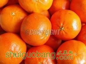 t018bafb8bcc7eacee0.jpg
