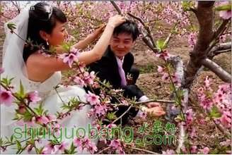 t019fe17931efeeeed4.jpg