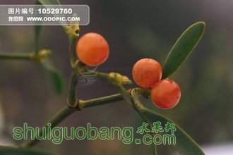 t0108f6251727b533e6.jpg