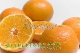 t0110a0a200eb636ee5.jpg