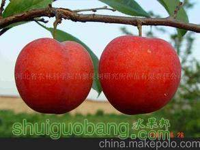 t0118cbb9f4d14dcbd8.jpg