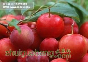 t0142c65f3b49cdb2ea.jpg