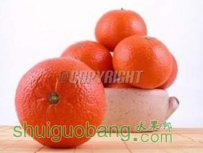 t0175f9d77caefe1057.jpg