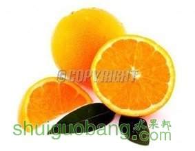 t0178a3d5b7ace4461f.jpg