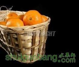 t0185db937cd687a0fe.jpg
