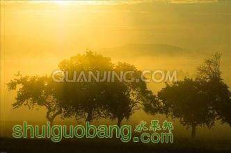 t0197eb85ad1a89a5bf.jpg