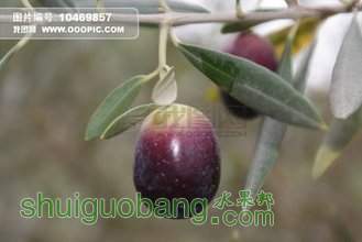t01307e19abb0276d6f.jpg