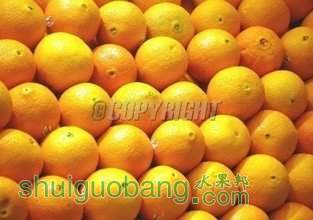 t01483ae514df3ae65d.jpg