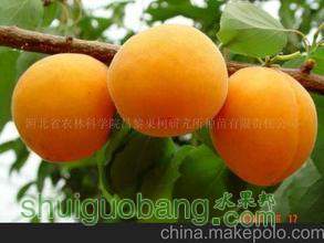 t01657ba82e87a7ffe3.jpg