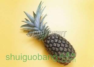 t010870aa5d99f64ac3.jpg