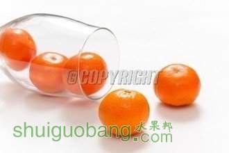 t017888ea33bbdd5665.jpg