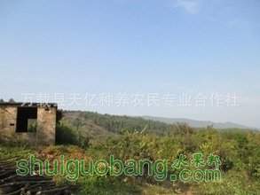 t0116965035b6130ffc.jpg