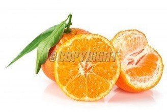t01a0264c9811d4e531.jpg
