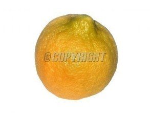 t01a7abbabce3f02ec5.jpg