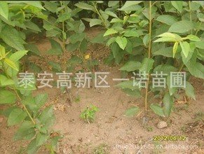 t01b7617fe3cec72a9c.jpg