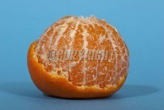 t01ce103785e5b7fc9c.jpg