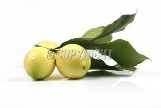 t01e1d07481d5abe4b7.jpg
