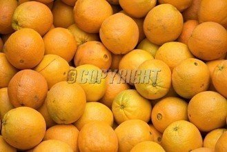 t01e3a1af941c31e71e.jpg