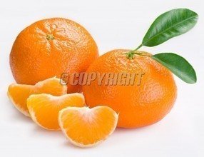 t01e5cadae39e77c1b4.jpg