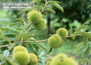 t01e325a031c31663ae.jpg