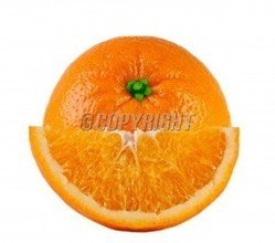 t01e93849412d26e9aa.jpg