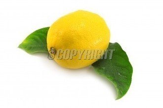 t01f72ccbb539477ce0.jpg