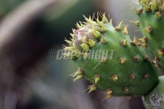 t010ec60c1eca26470a.jpg
